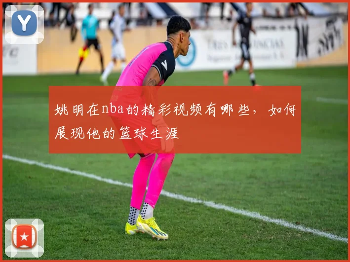 姚明在nba的精彩视频有哪些,如何展现他的篮球生涯